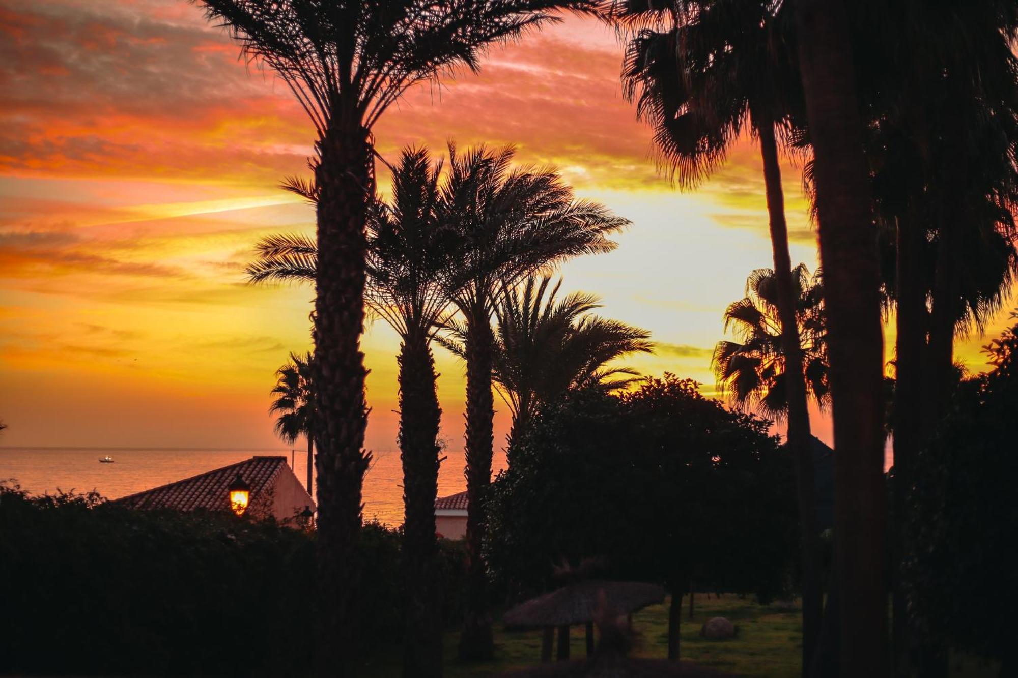 Apartment Cn-340 Estepona
